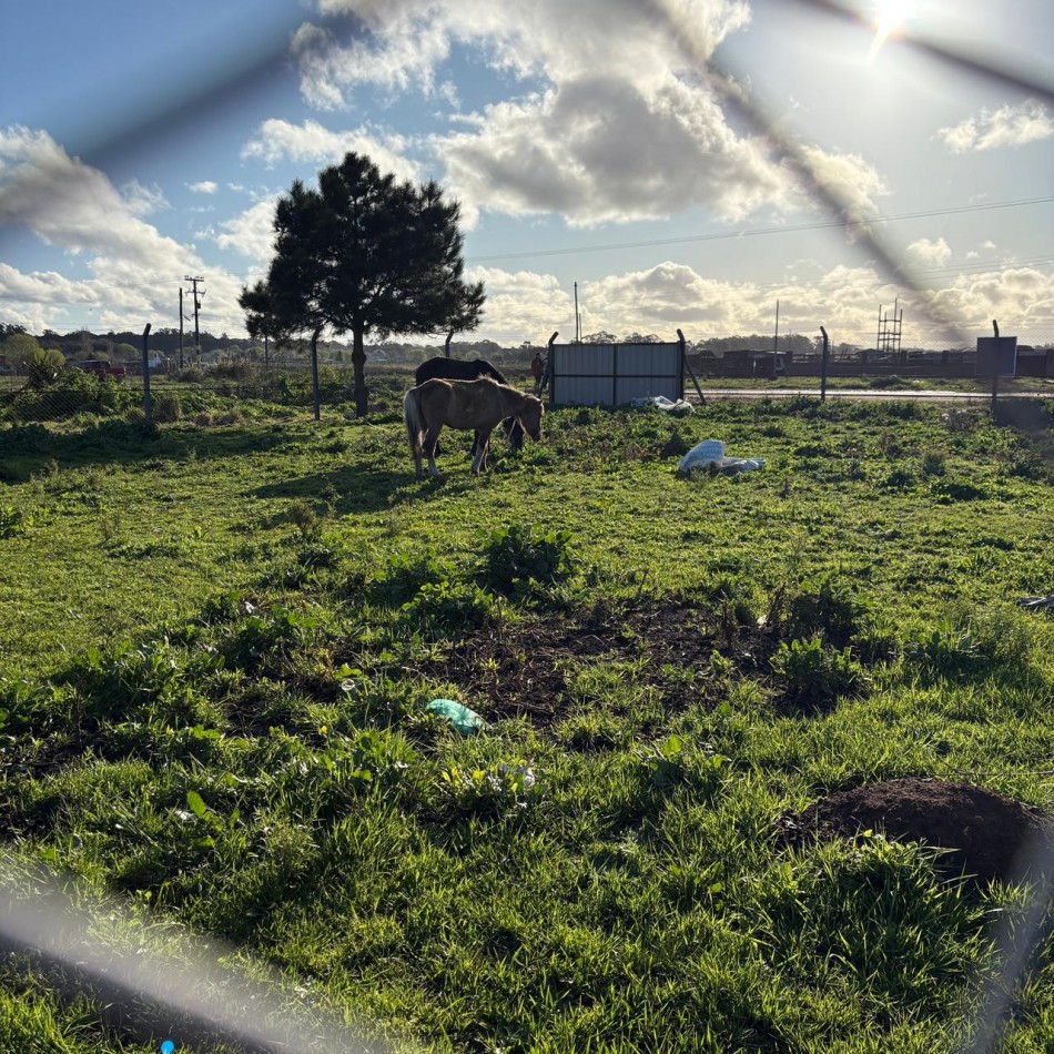 Venta de 2 lotes en conjunto sobre avenida Jorge Newbery