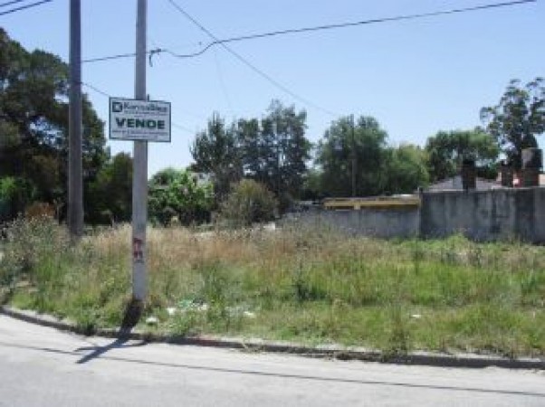 Lote en esquina- Av. Luro