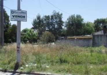 Lote en esquina- Av. Luro