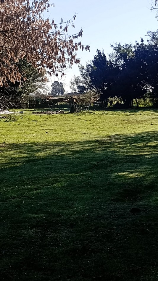 VENTA DOS PARCELAS DE TERRENO EN SECTOR  QUINTAS EN GENERAL PIRAN PROVINCIA DE BS AS.