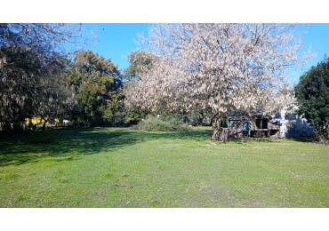 VENTA DOS PARCELAS DE TERRENO EN SECTOR  QUINTAS EN GENERAL PIRAN PROVINCIA DE BS AS.